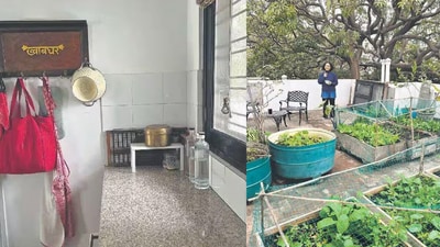 In east Delhi, a home that turns sustainability into a way of life