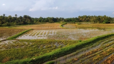 Amazon Data Services India Private Limited purchased a 10.61-acre land parcel in Ambernath, near Mumbai, from Lodha Developers Limited for  ₹125.13 crore. (Photo for representational purposes only) (Unsplash)
