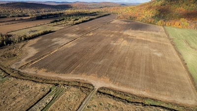 Bengaluru real estate: Puravankara Limited has acquired a 9.73-acre land parcel in North Bengaluru's rapidly developing airport corridor (Photo for representational purposes only) (Pexels) Bengaluru real estate: Puravankara Limited has acquired a 9.73-acre land parcel in North Bengaluru's rapidly developing airport corridor (Photo for representational purposes only) (Pexels)