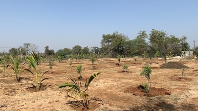 Godrej Properties Ltd. has acquired a 47-acre land parcel for a plotted residential project with a developable potential of around 1.2 million sq ft.  (Photo for representational purposes only) (Unsplash)
