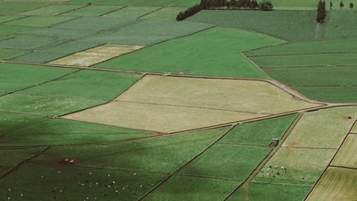 Godrej Properties Ltd has emerged as the highest bidder for a 4.95-acre residential group housing plot in Sector 151, in an e-auction conducted by NOIDA. (Photo for representational purposes only) (Unsplash) Godrej Properties Ltd has emerged as the highest bidder for a 4.95-acre residential group housing plot in Sector 151, in an e-auction conducted by NOIDA. (Photo for representational purposes only) (Unsplash)